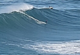 Surf-2022.jpg